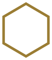 Honeycomb Shape, Beehive or Bee House Form, Hexagonal, can use for Frame, Emblem, Logo Gram, Apps, Pictogram,  Decoration, Ornate, Tile, Mosaic,  Background, Website or Graphic Design Element. PNG