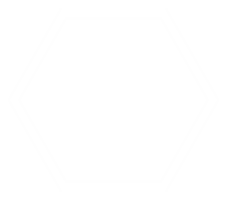 vaxkaka form, bikupa eller bi hus form, hexagonal, kan använda sig av för ram, emblem, logotyp gram, appar, piktogram, dekoration, utsmyckad, bricka, mosaik, bakgrund, hemsida eller grafisk design element. png