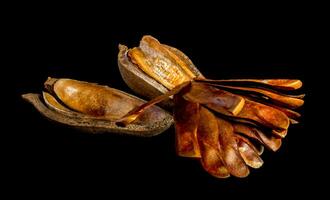 Pods and seeds of  Mahogany on black background photo