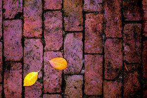 Yellow leaf fall on red brick floor photo