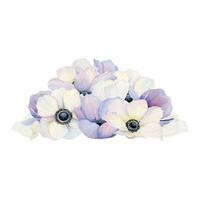 Pile of pastel purple violet and white anemone flowers and petals watercolor vector illustration. Wedding 2024 celebration