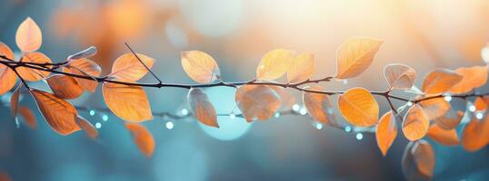 AI generated autumn leaves with water drops photo