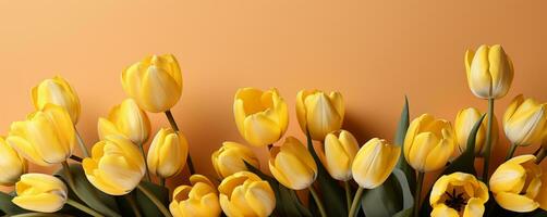 AI generated Yellow tulip flowers for bannner photo