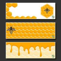 Drop of bee honey drip from hexagonal honeycombs filled with golden nectar vector