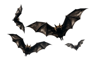 ai generato pipistrelli nel volo, isolato su trasparente sfondo. ai png