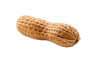 AI generated Single Peanut on Transparent Background. AI png