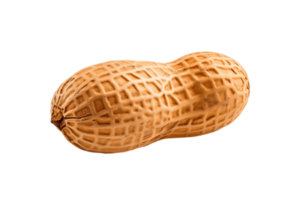 AI generated Single Peanut on Transparent Background. AI png