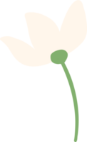 flor con tallo png