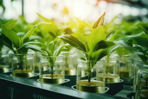 ai generado planta investigación, verde planta en un vaso tarro en un laboratorio. ecológico cría y planta desarrollo. foto