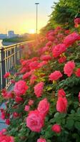 ai generado rosas en el jardín foto