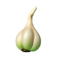 AI generated Garlic png isolated on transparent background