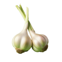 AI generated Garlic png isolated on transparent background