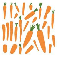 Vector collection of hand drawn colored carrot illustrations on a white background