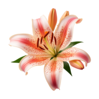 AI generated Lily flower Isolated on transparent background generative al png