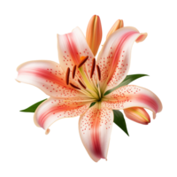 ai généré lis fleur isolé sur transparent Contexte génératif Al png