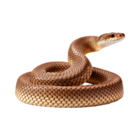 AI generated Snake isolated on transparent background png