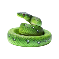 AI generated Green Snake isolated on transparent background png