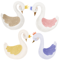 Hand painted white swan illustration. Cartoon clipart png