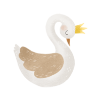 Hand painted white swan illustration. Cartoon clipart png