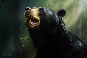 AI generated Sun bear also known as a Malaysian bear photo