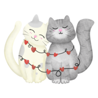 Two cats with string hearts on transparent background png