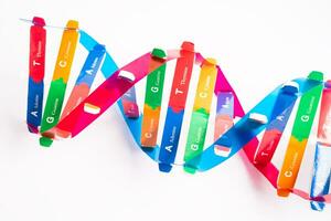 DNA or Deoxyribonucleic acid is a double helix chains structure formed by base pairs attached to a sugar phosphate backbone. photo