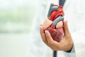 Cardiovascular disease CVD, Asian doctor holding human anatomy model for learn and treat heart disease. photo