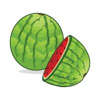 illustration of watermelon vector