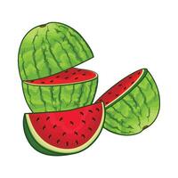 illustration of watermelon vector