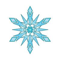 illustration of snowflake vector