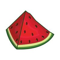 illustration of watermelon vector