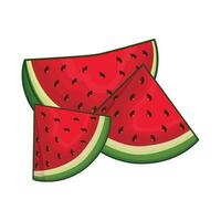 illustration of watermelon vector