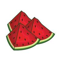 illustration of watermelon vector