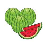illustration of watermelon vector