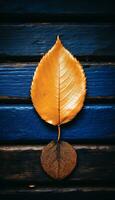 AI generated 4K Colorful leaf AMOLED Wallpaper for Mobile photo