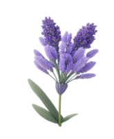 AI generated Beautiful flower photo. png