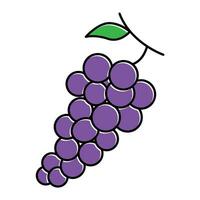 grape logo template for graphic and web design vector