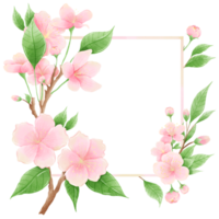 Watercolor hand drawn illustration of Cherry Blossom sakura frames wreaths border spring time pink blooming flowers png