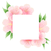 waterverf hand- getrokken illustratie van kers bloesem sakura kaders kransen grens voorjaar tijd roze bloeiend bloemen png
