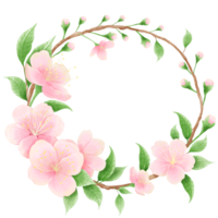 Watercolor hand drawn illustration of Cherry Blossom sakura frames wreaths border spring time pink blooming flowers png
