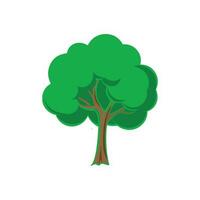 Isolated tree on white background vector