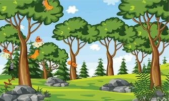 Forest scene with various forest trees vector