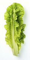 AI generated Lettuce isolated on white background. AI Generated photo