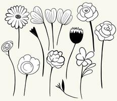 Monochrome doodle flowers. Floral elements set. Outline botanical illustration. Hand drawn isolated plants. vector