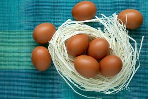 Eggs lie on the decor in the form of a nest. Eggs lie in an artificial nest on a blue background photo