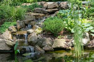 Garden waterfall. Garden pond with water flowers. Beautiful pond in a backyard surrounded with stone during. photo