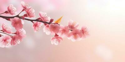 AI generated Beautiful nature spring background with a branch of blooming sakura. Copy space for text photo