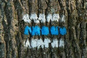 Tourist sign on the tree for a tourist trip photo