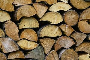 Stack of firewood prepared for winter. Spruce wood. photo