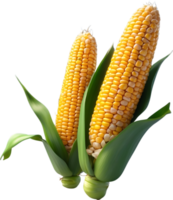 AI generated corn on the cob png